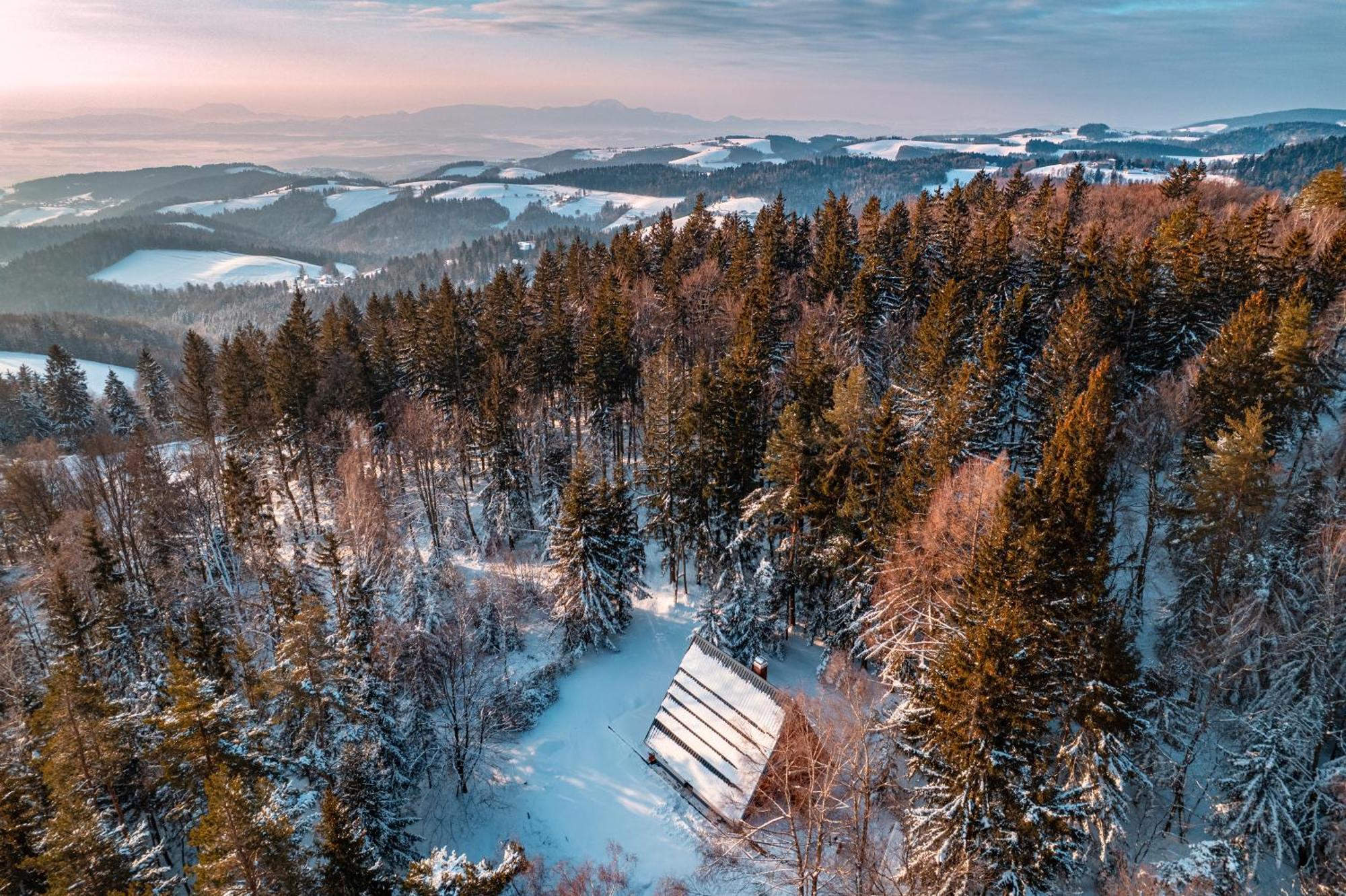 Pohorska Gozdna Vila Villa Hočko Pohorje Kültér fotó